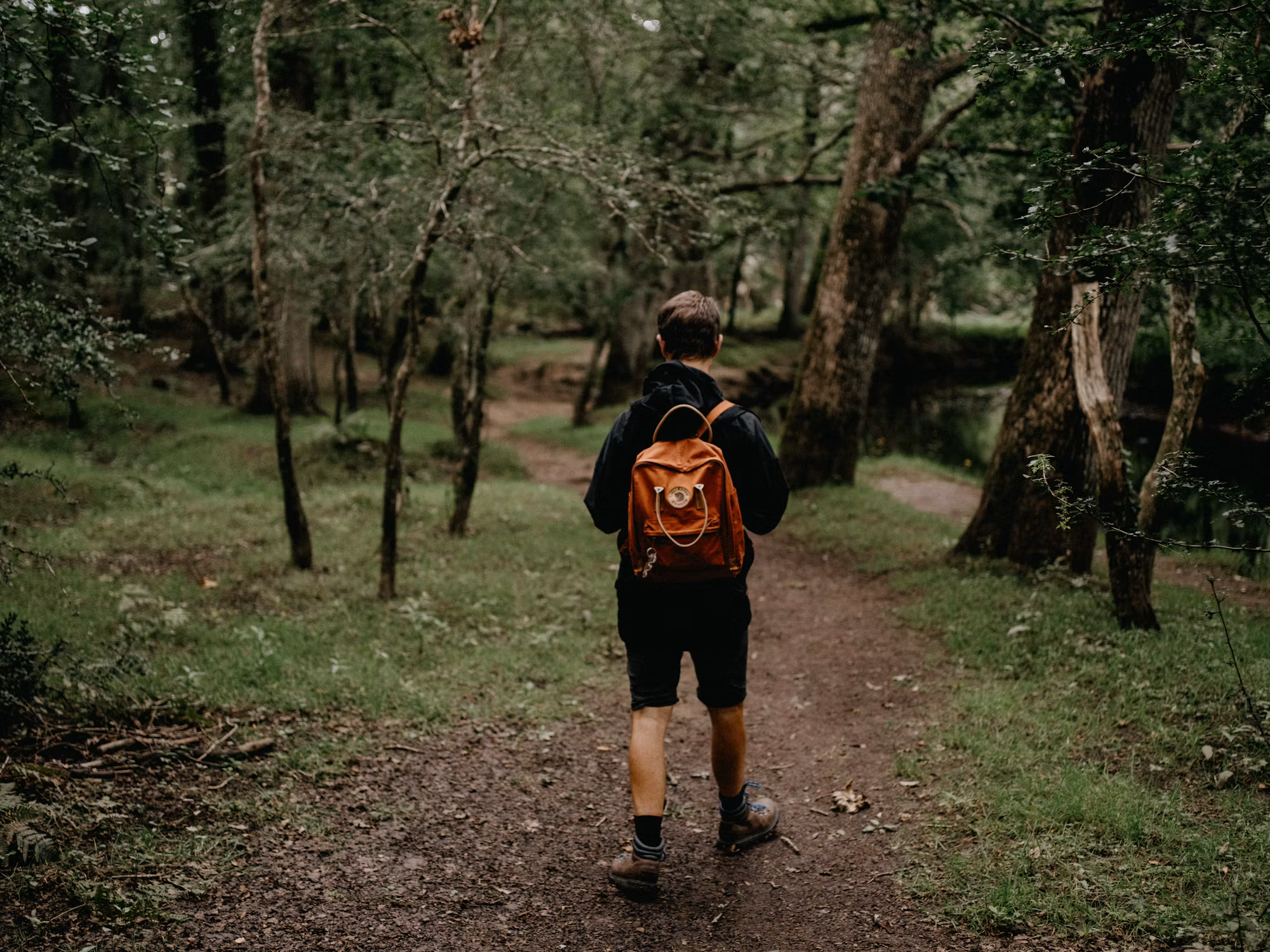 Exploring the Wonders of National Parks: A Guide to the Best Hiking Destinations